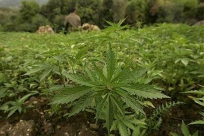 ___6836528___https:______static.pulse.com.gh___webservice___escenic___binary___6836528___2017___6___14___14___1.11074537