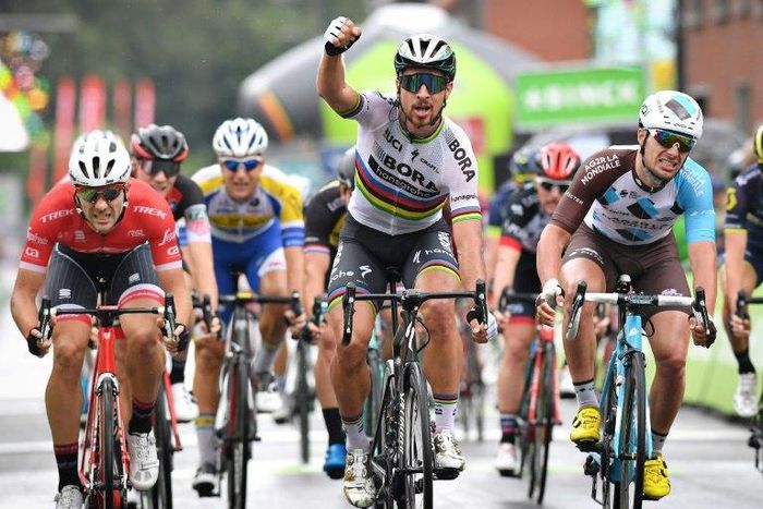 Slovakia's Peter Sagan of Bora-Hansgrohe (C) celebrates as he crosses the finish line to win at the end of the third stage of the BinckBank Tour 2017, 185 km from Blankenberge to Ardooie in Belgium, on August 9, 2017