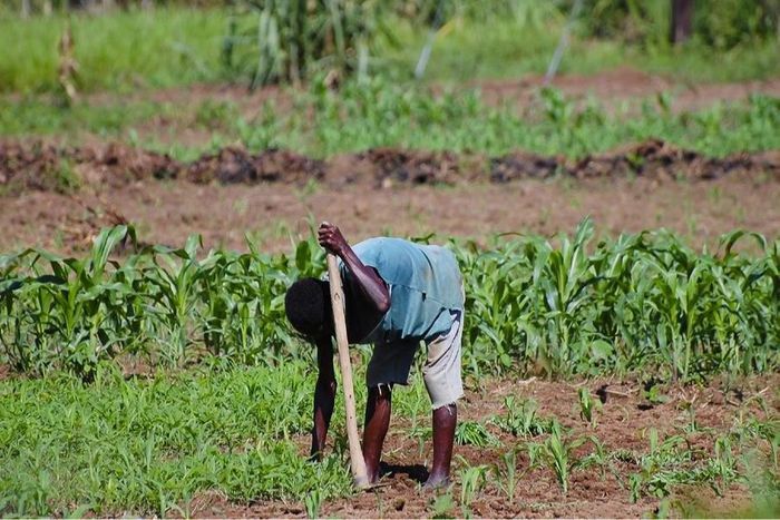 AIMing to care for our children