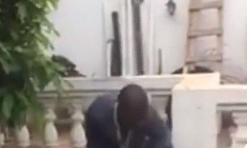Alleged thief and wild dogs