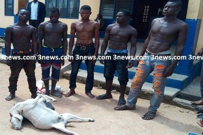 ___7202026___https:______static.pulse.com.gh___webservice___escenic___binary___7202026___2017___8___25___2___bawku