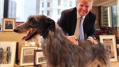 President Trump bans eating of dogs and cat in U.S.