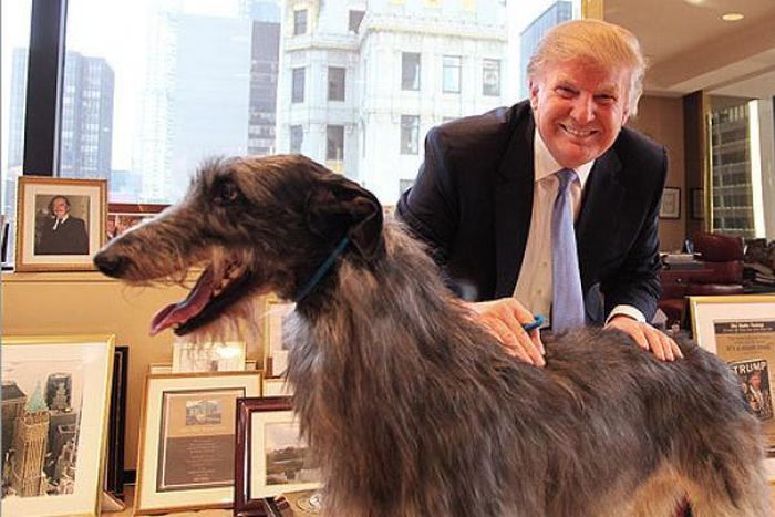 President Trump bans eating of dogs and cat in U.S.