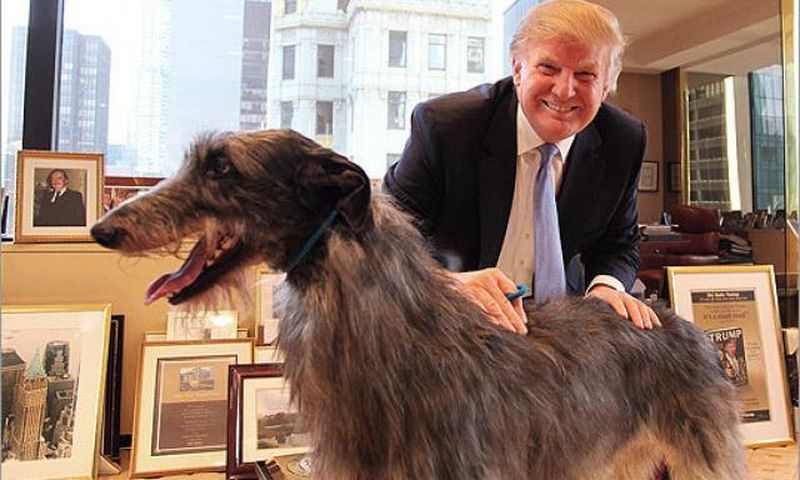 President Trump bans eating of dogs and cat in U.S.