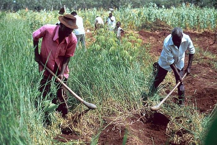 ___9177472___2018___12___7___13___d29f724a45ead59fbed342a9b3ad72f4