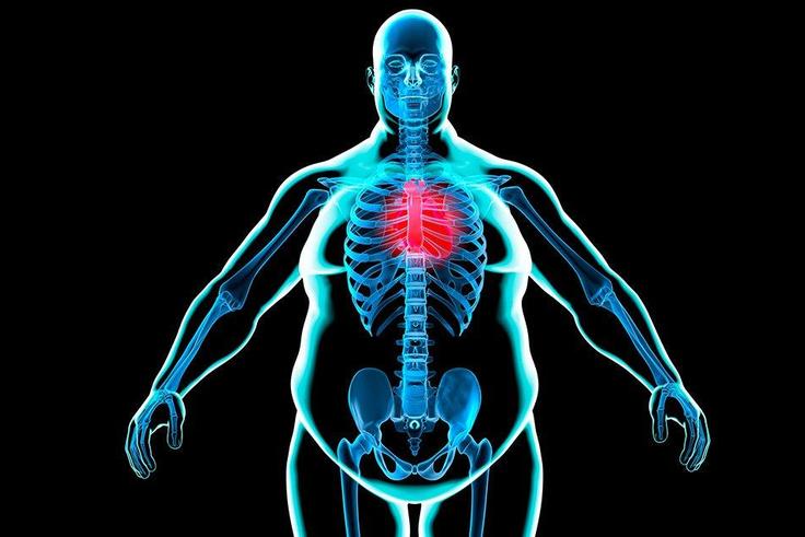 90 percent of men are overfat