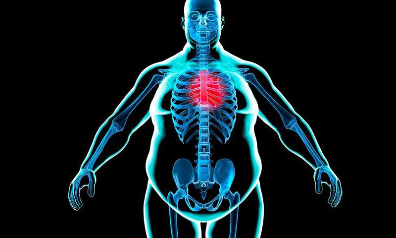 90 percent of men are overfat