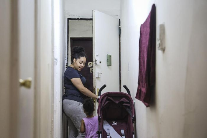 City's Housing Watchdog Spares the Worst Landlords Its Full Bite