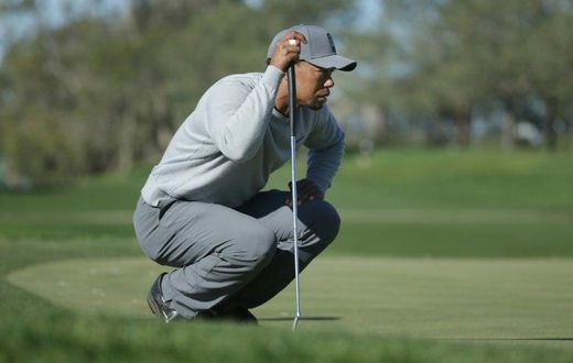 Tiger Woods, pictured in January 2017, once held the world number one ranking for a record 683 weeks