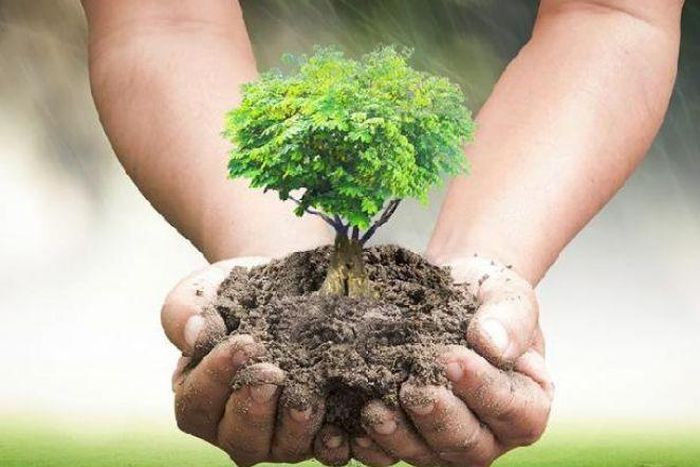 Henceforth, no student will graduate unless they plant at least 10 trees – New Philippines law orders
