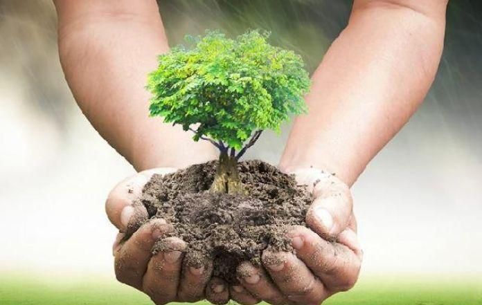 Persons with albinism advocate for tree planting to remedy global warming