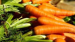 Carrots