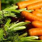 Carrots