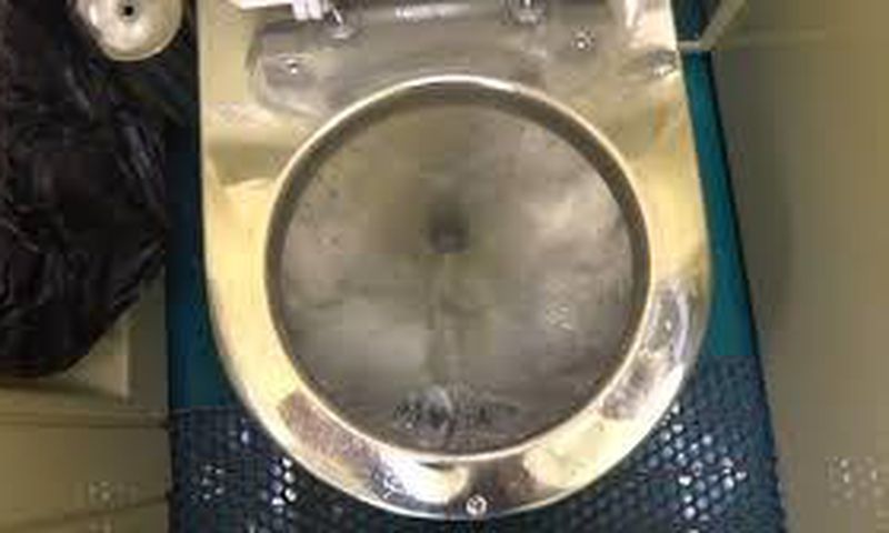New born found alive after being, throttled thrown in train toilet