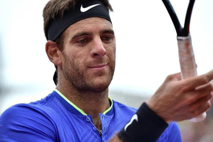 Argentina's Juan Martin Del Potro picked up the groin injury whilst at the French Open