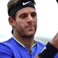Argentina's Juan Martin Del Potro picked up the groin injury whilst at the French Open