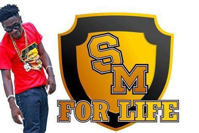 ___7134118___https:______static.pulse.com.gh___webservice___escenic___binary___7134118___2017___8___11___17___shatta