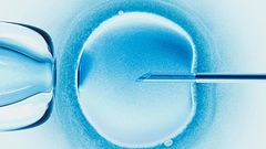 ___7100804___https:______static.pulse.com.gh___webservice___escenic___binary___7100804___2017___8___5___13___scientists-successfully-edit-embryo-dna
