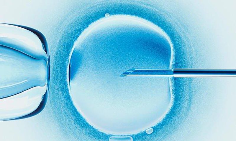___7100804___https:______static.pulse.com.gh___webservice___escenic___binary___7100804___2017___8___5___13___scientists-successfully-edit-embryo-dna