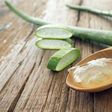 Aloe Vera and its gel