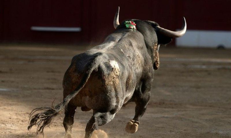 Bullfighting is banned in most of France but is allowed in some southern regions where it is protected as part of local traditions