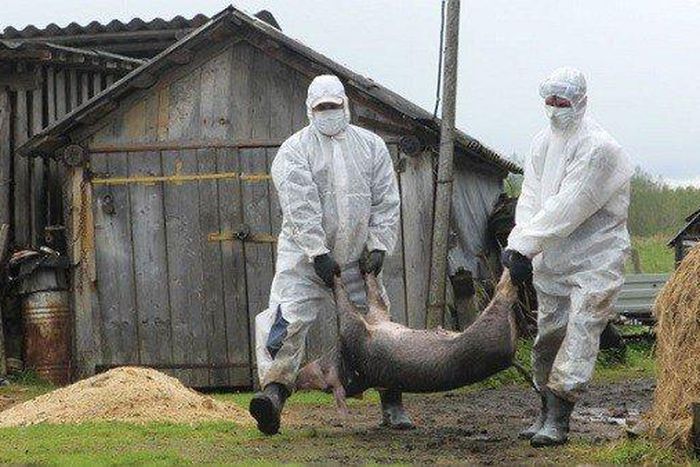 ___6945401___https:______static.pulse.com.gh___webservice___escenic___binary___6945401___2017___7___5___12___x461333182381_6469779063947.jpg.pagespeed.ic.ed0SNqZbFD