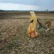 Hindus consider cows sacred and the BJP, led by Prime Minister Narendra Modi, has campaigned for their protection at a state and national level