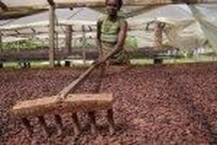 ___6876202___https:______static.pulse.com.gh___webservice___escenic___binary___6876202___2017___6___21___16___1.11090614