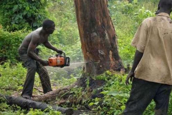 ___7191163___https:______static.pulse.com.gh___webservice___escenic___binary___7191163___2017___8___23___11___file6wd8js88ro7ev2x12uz