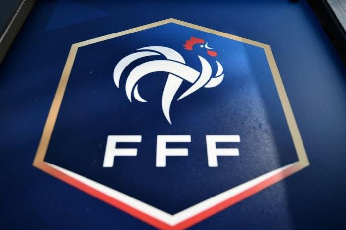 France's Football Federation announce a profit for a fifth straight year