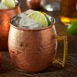 moscow mule food poisoning