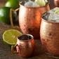moscow mule food poisoning