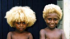 Melanesian people of Solomon Islands