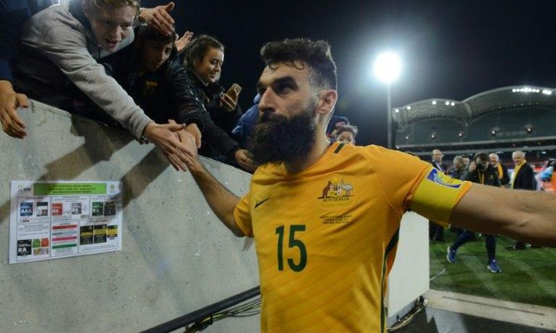 Australian captain Mile Jedinak will sit out a friendly with Brazil and this month's Confederations Cup with a groin injury