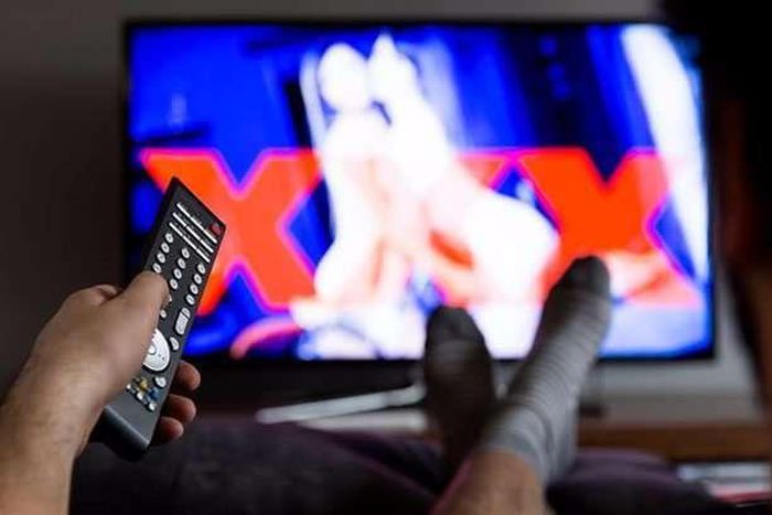 ___6836906___https:______static.pulse.com.gh___webservice___escenic___binary___6836906___2017___6___14___15___porn-on-tv-icon