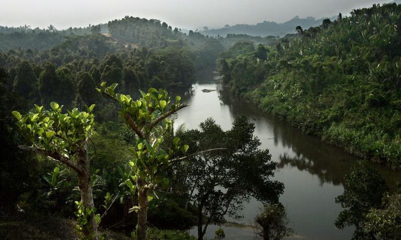 Madagascar is the world's fourth largest island, bigger than Spain or Thailand in size