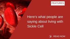 ___6864477___https:______static.pulse.com.gh___webservice___escenic___binary___6864477___2017___6___19___19___SICK