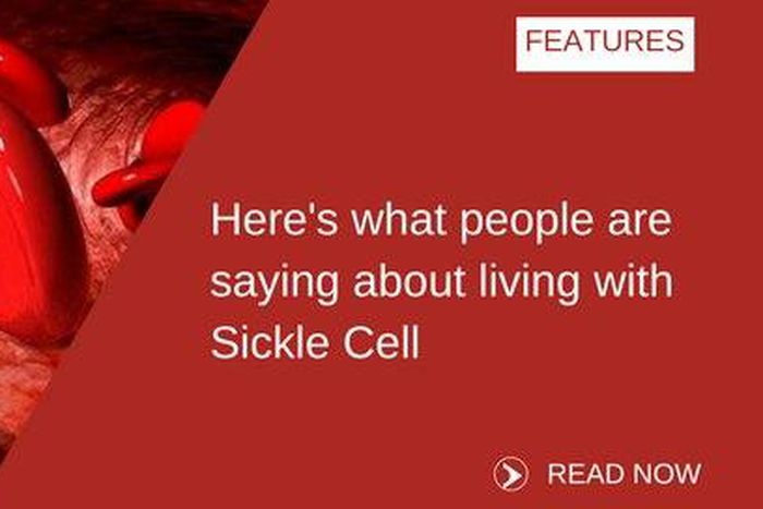 ___6864477___https:______static.pulse.com.gh___webservice___escenic___binary___6864477___2017___6___19___19___SICK