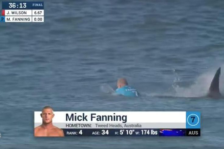 ___7030855___https:______static.pulse.com.gh___webservice___escenic___binary___7030855___2017___7___21___19___pro-surfer-second-shark-attack-two-years