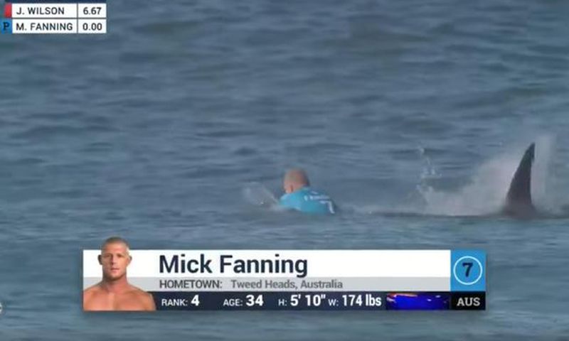 ___7030855___https:______static.pulse.com.gh___webservice___escenic___binary___7030855___2017___7___21___19___pro-surfer-second-shark-attack-two-years