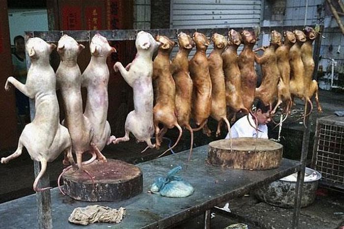 ___6987604___https:______static.pulse.com.gh___webservice___escenic___binary___6987604___2017___7___13___14___file6vs8rd2myqb1c3e2sh8o