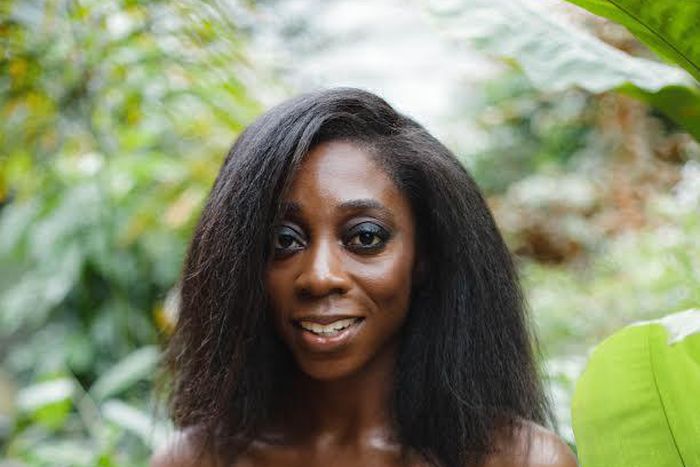 ___6862603___https:______static.pulse.com.gh___webservice___escenic___binary___6862603___2017___6___19___15___file6vfx7pc3m35nhswr93z