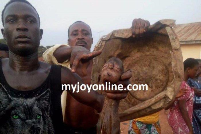 Lamb with 'human face' is born