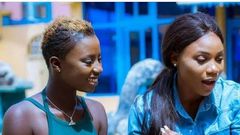  Rashida Black Beauty