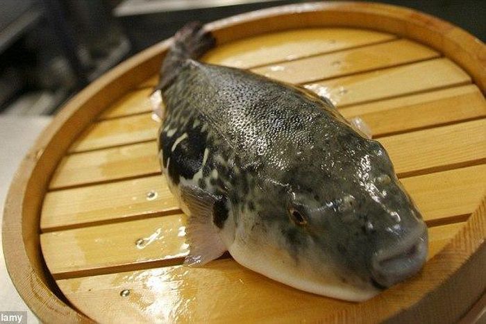 ___7168094___https:______static.pulse.com.gh___webservice___escenic___binary___7168094___2017___8___18___16___263D850C00000578-2975447-image-m-25_1425294576869