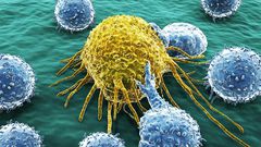 foods might stop cancer from spreading