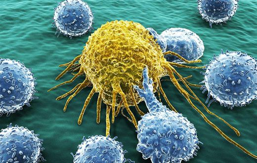 foods might stop cancer from spreading