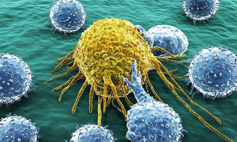 foods might stop cancer from spreading