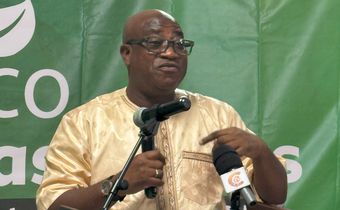 Environment minister raises alarm over Africa’s climate crisis