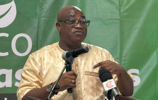 Environment minister raises alarm over Africa’s climate crisis